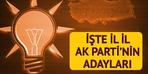 Gökçek oradayken koşamadı!  Ankara'da Balalı Altınok, İzmir'de Yörük Hamza Dağ!  Bakanlık sürprizi bekleniyordu ama... İşte AK Parti'nin belediye başkan adayları listesi!