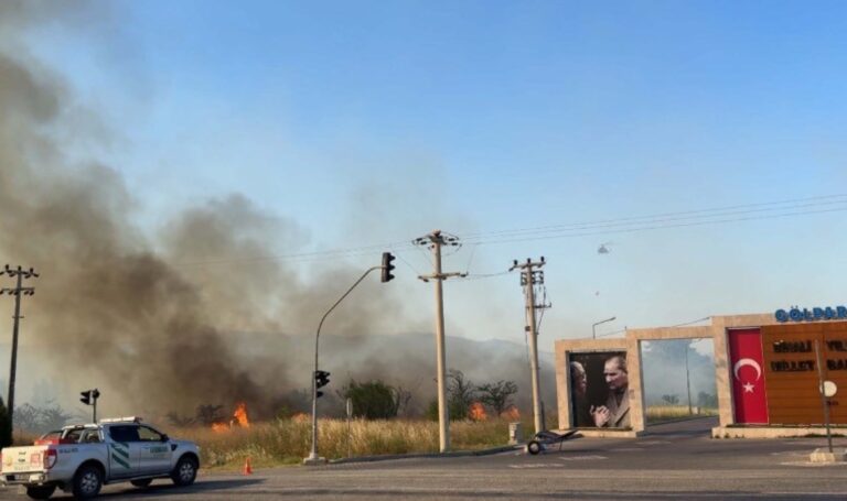 İzmir’de zeytinlik yangını – Son Dakika Türkiye,Cumhuriyet’in Egesi Haberleri